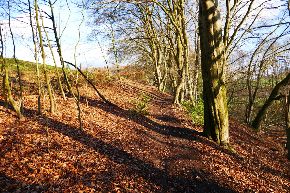 Rund um Gennebreck