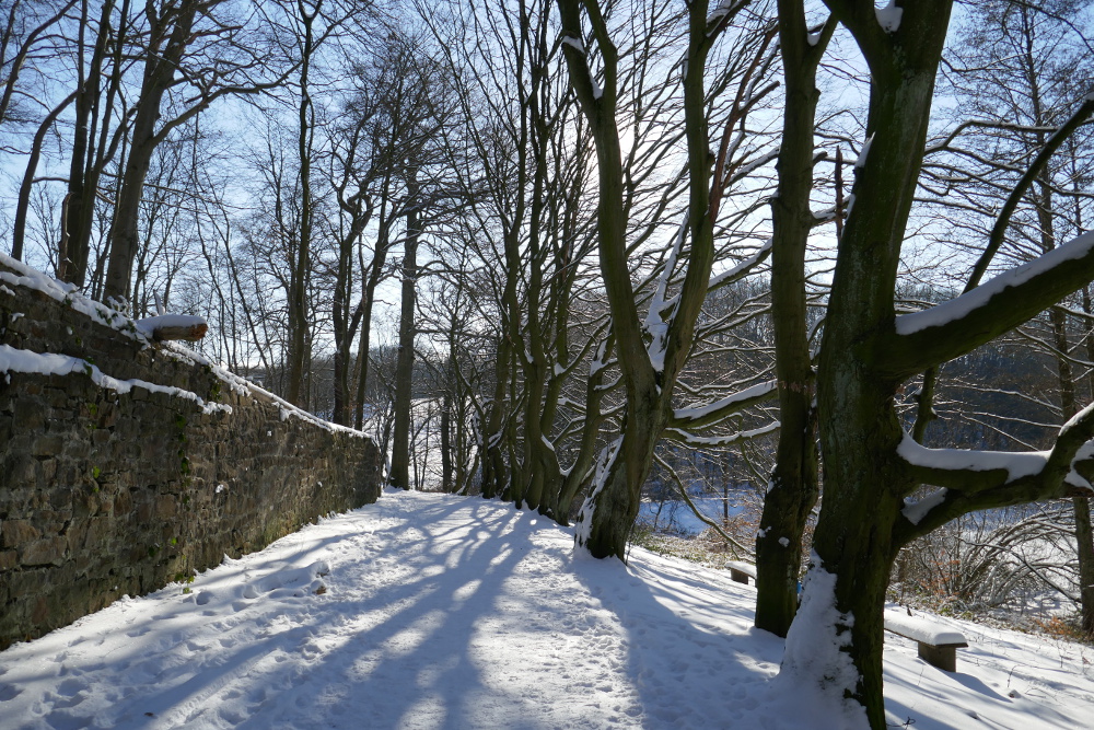Rund um den Kalwes