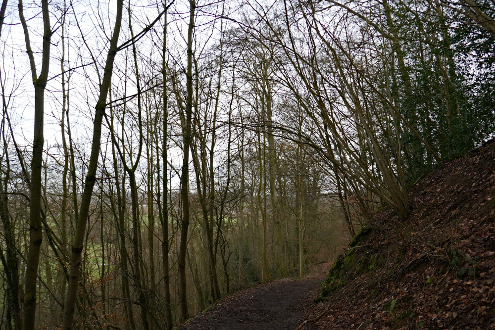 Hoch über der Ruhr - Burg Blankenstein