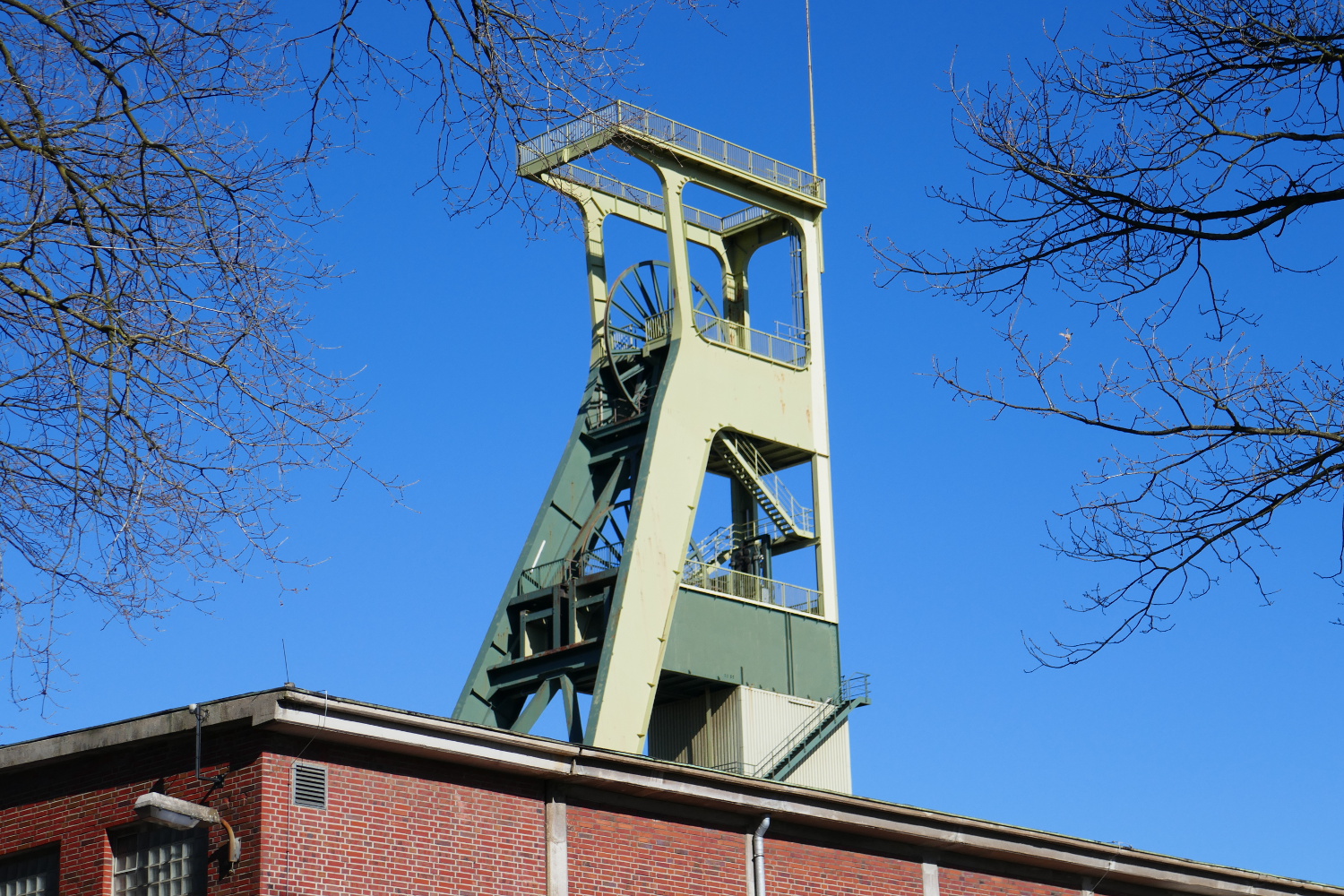 Halde Haniel – Köllnischer Wald und Gipfelglück