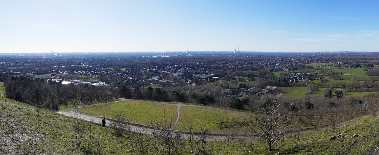 Halde Haniel – Köllnischer Wald und Gipfelglück