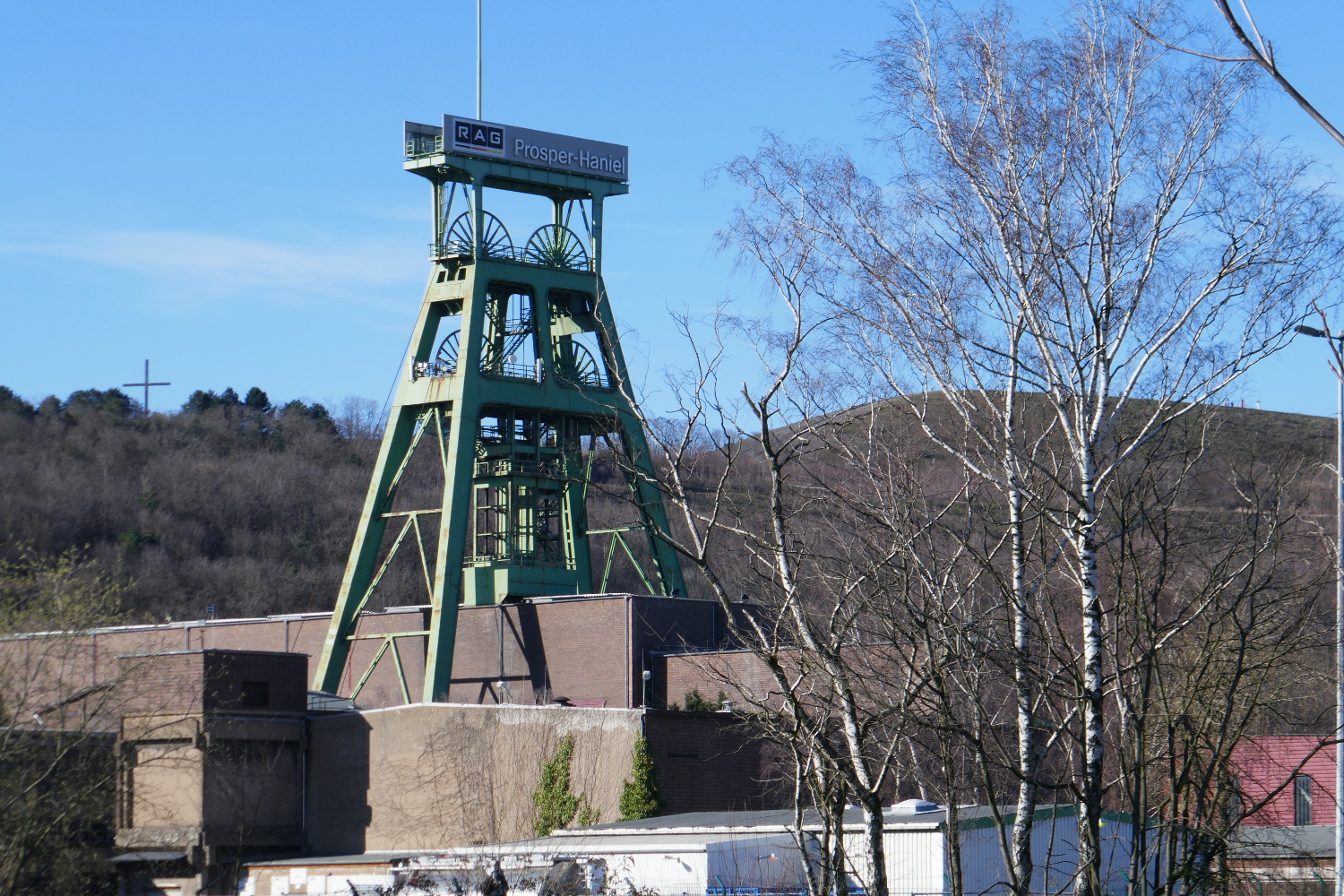 Halde Haniel – Köllnischer Wald und Gipfelglück