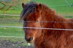 Rund um Gennebreck
