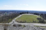 Halde Haniel – Köllnischer Wald und Gipfelglück