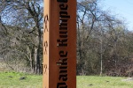 Halde Haniel – Köllnischer Wald und Gipfelglück