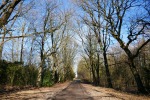 Halde Haniel – Köllnischer Wald und Gipfelglück