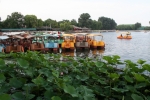 Qianhaisee
