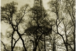 Aussichtsturm Petřín