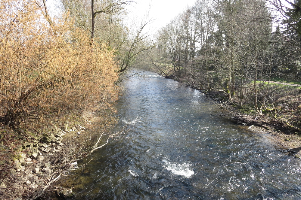 Rheinburgenweg #1
