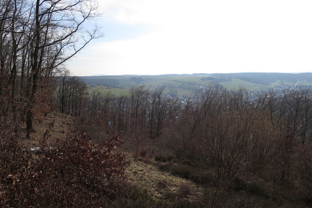 Rheinburgenweg #1