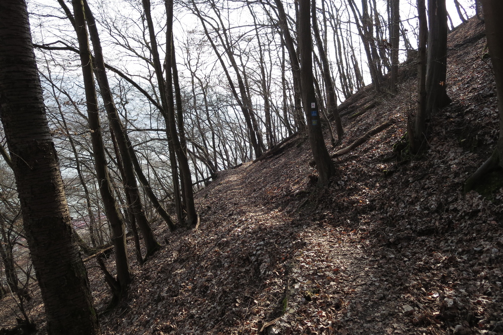 Rheinburgenweg #1