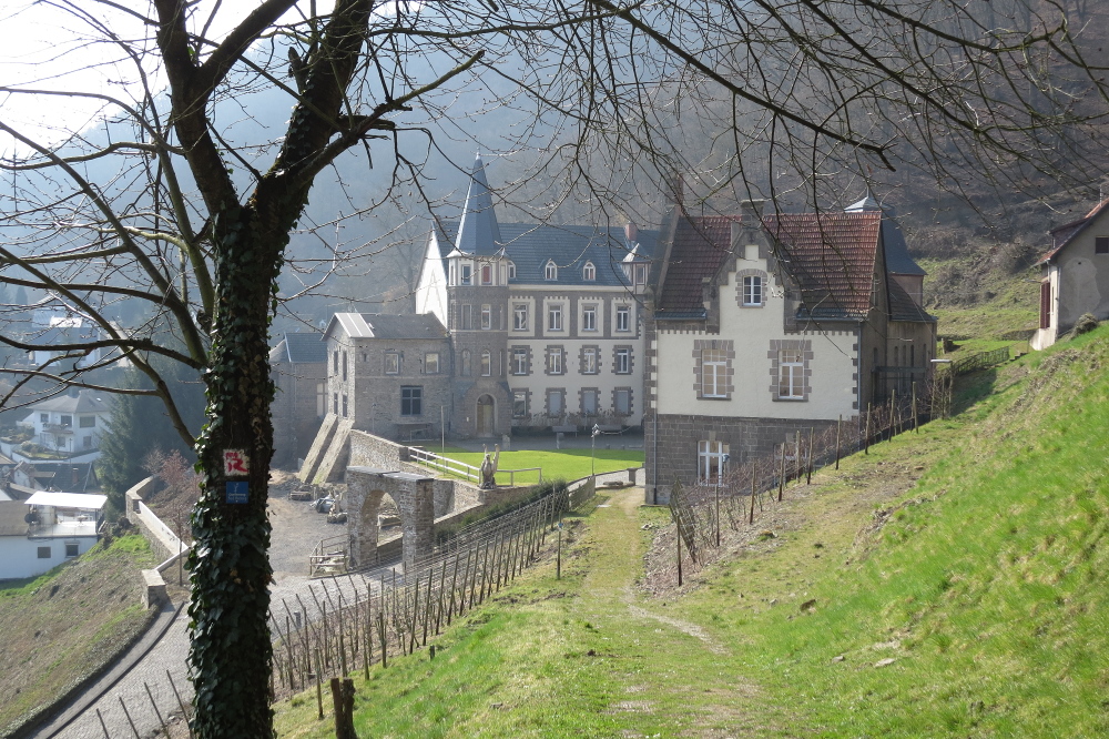 Rheinburgenweg #1