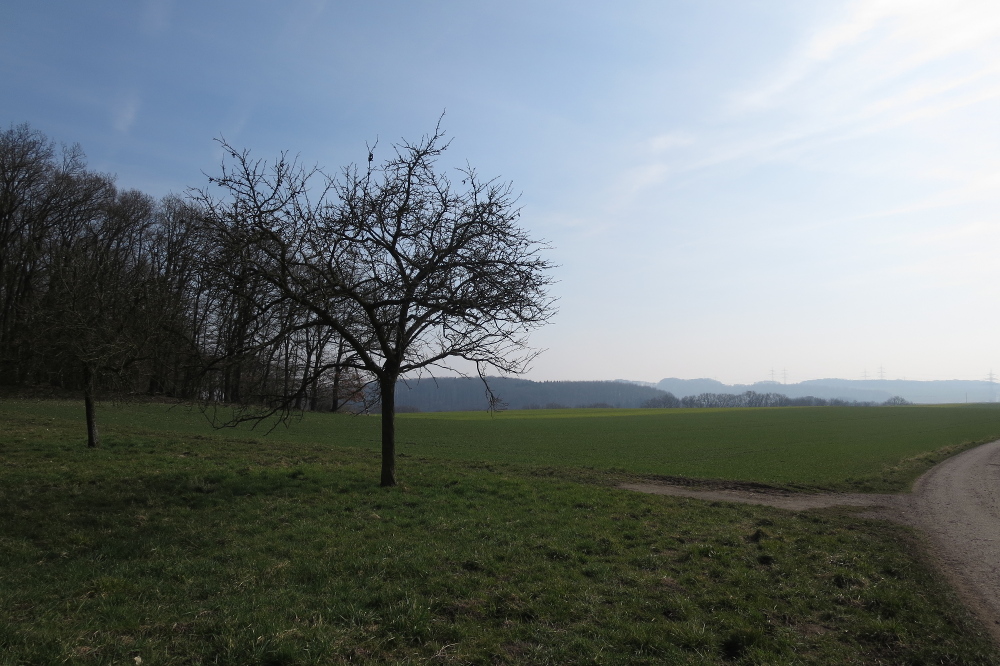 Rheinburgenweg #1
