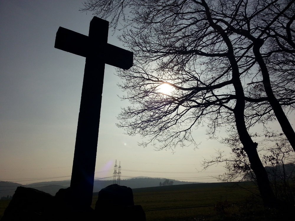 Rheinburgenweg #1