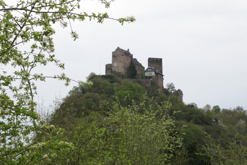 Rheinburgenweg #4 - Schönburg, Oberwesel
