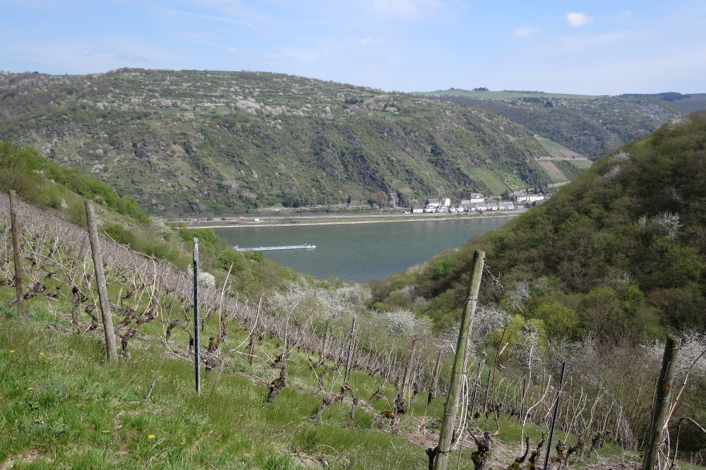 Rheinburgenweg #4