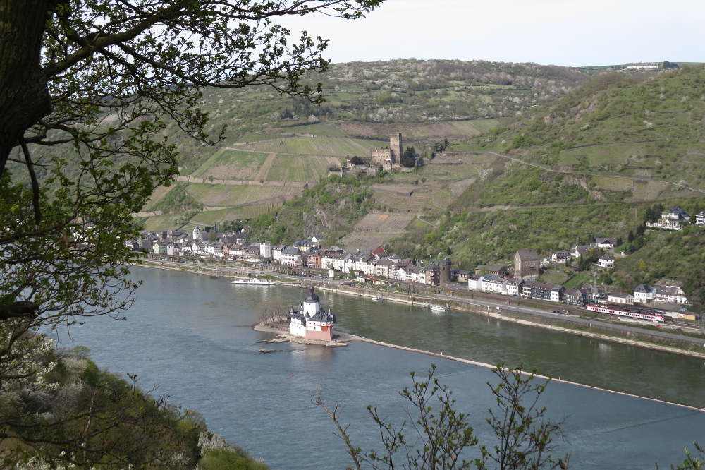 Rheinburgenweg #4 - Burg Pfalzgrafenstein (unten), Burg Gutenfels (oben)