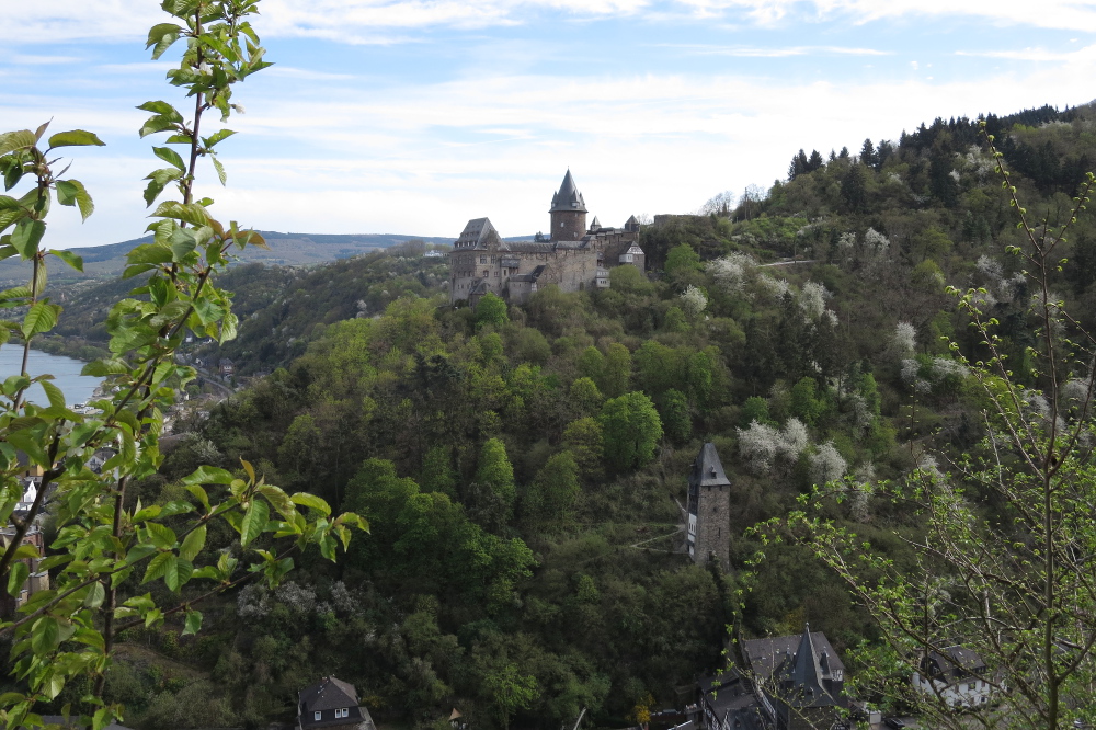 Rheinburgenweg #4 - Burg Stahleck