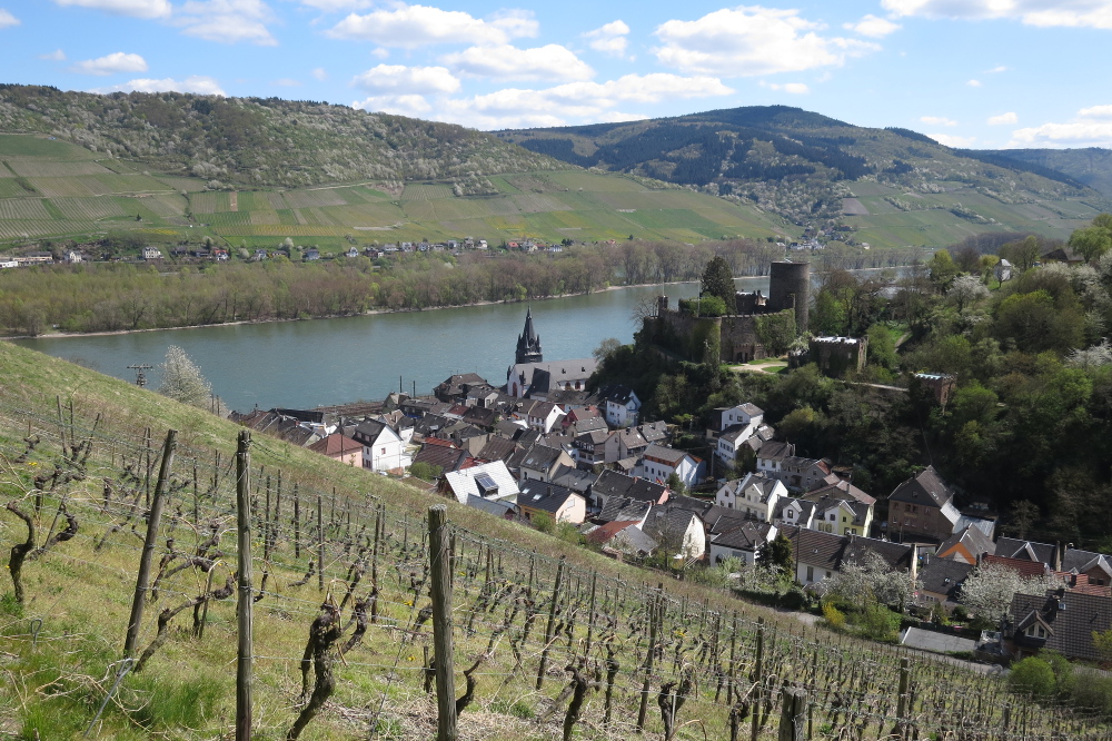 Rheinburgenweg #4 - Heimburg, Niederheimbach