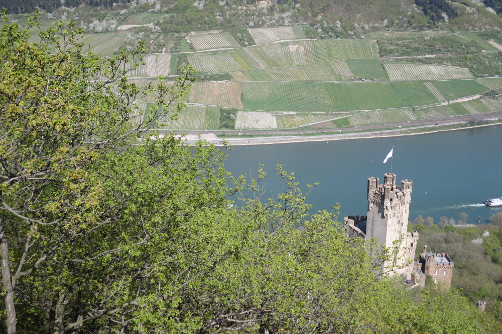 Rheinburgenweg #4 - Burg Sooneck