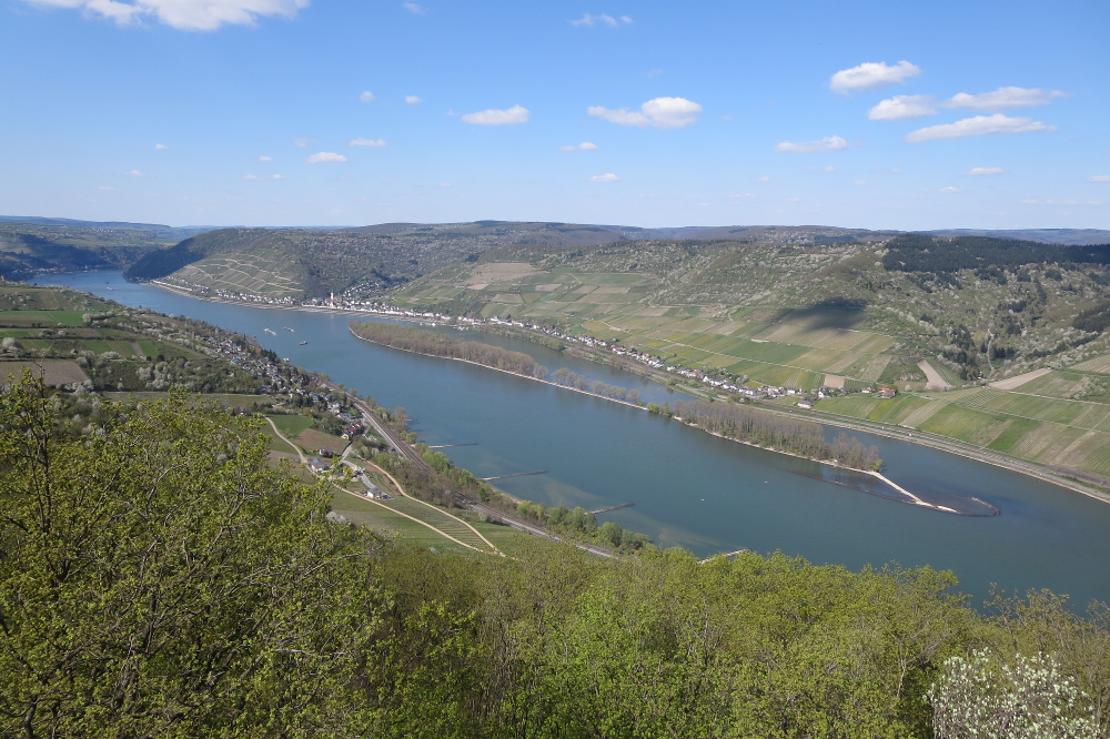 Rheinburgenweg #4 - Siebenburgenblick