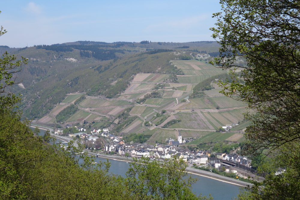Rheinburgenweg #4 - Assmannshausen