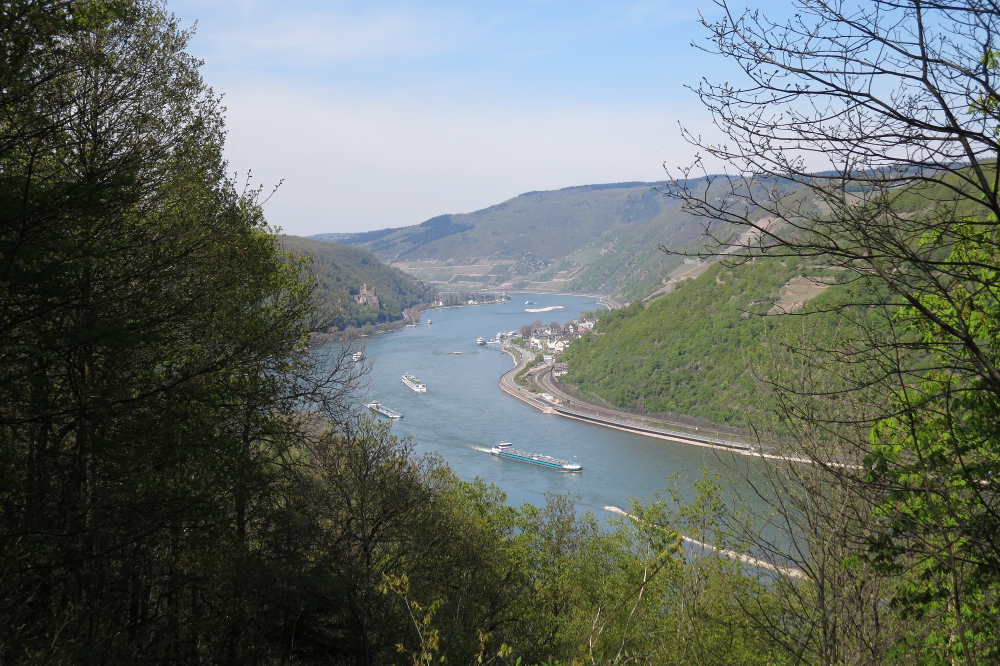 Rheinburgenweg #4 - Assmannshausen