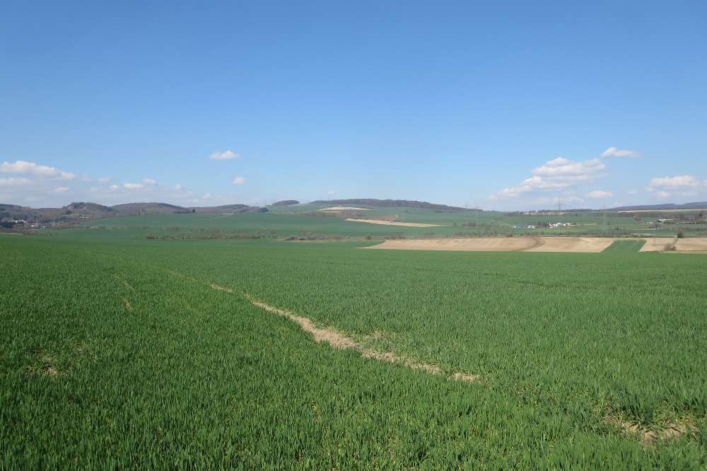 Rheinburgenweg #2 - Bei Andernach