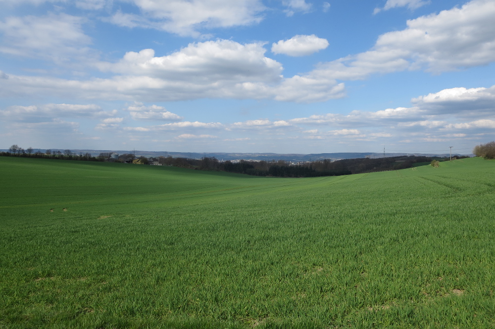 Rheinburgenweg #2 - Neuwieder Becken