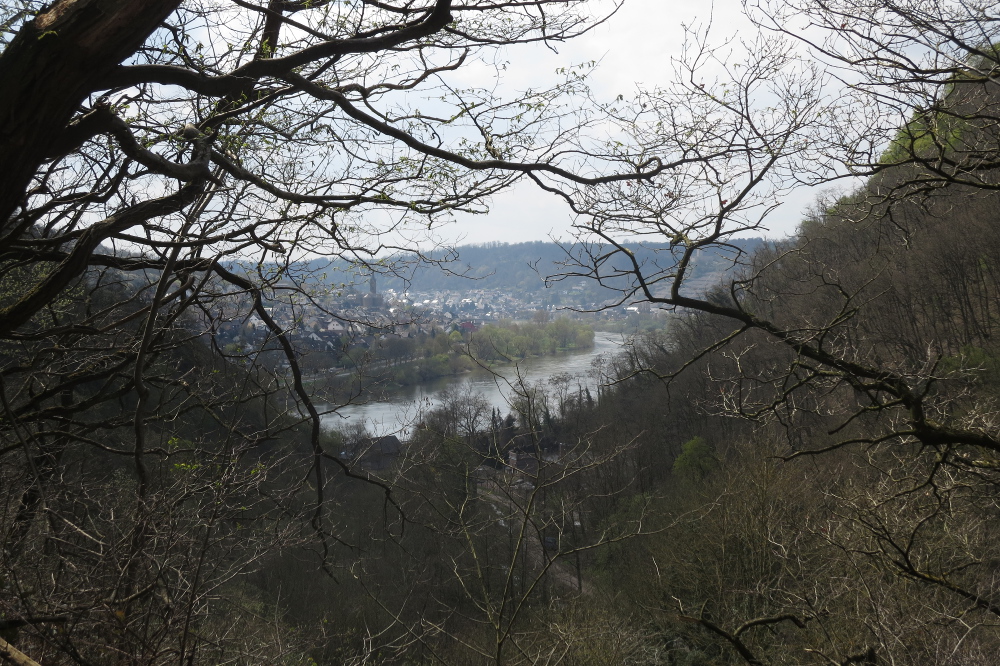 Rheinburgenweg #2 - Die Mosel