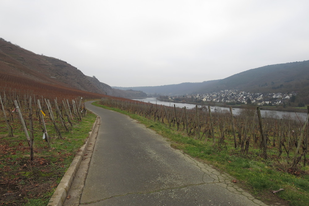 Rheinburgenweg #2 - Bei Winningen