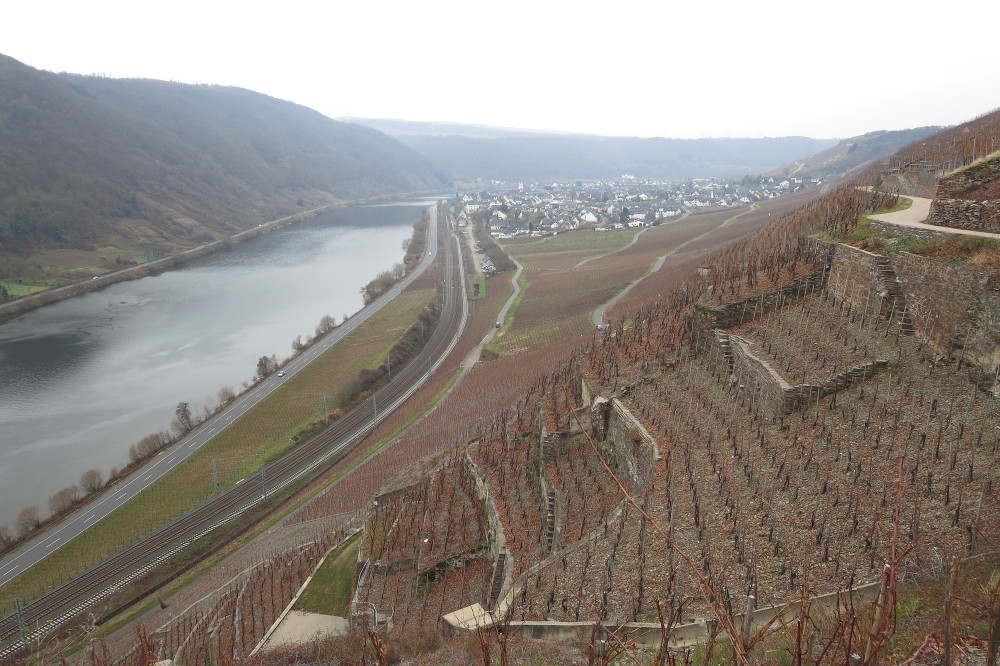 Rheinburgenweg #2 - Blick zurück auf Winningen