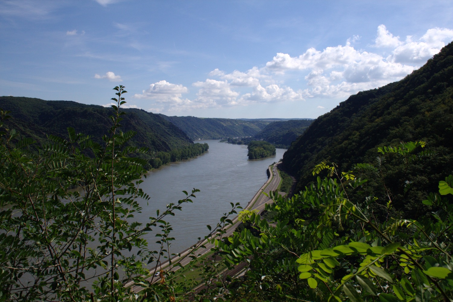Rheinburgenweg #3 - Rheinblick