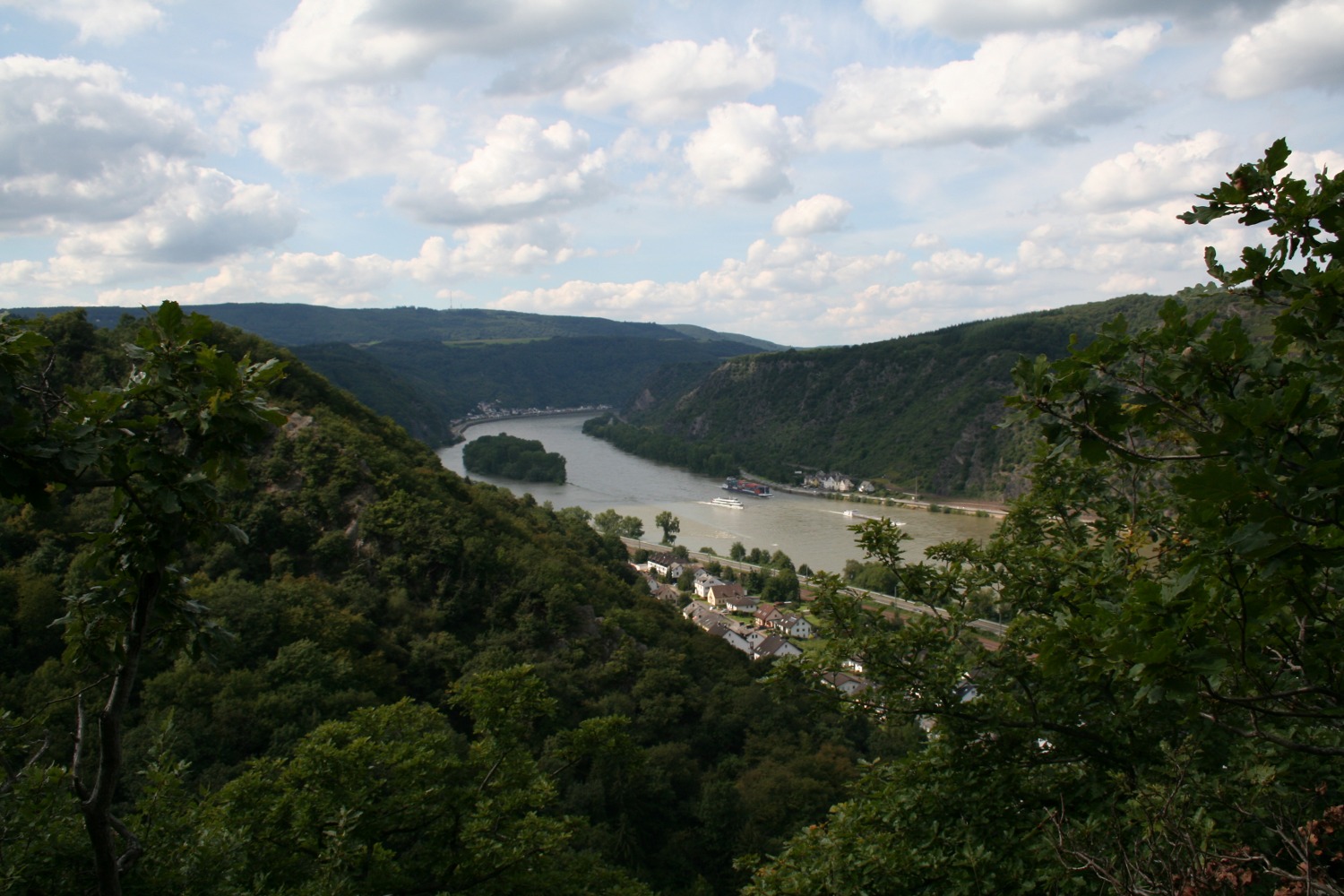 Rheinburgenweg #3 - Rhein bei Fellen