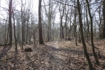 Rheinburgenweg #1