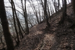Rheinburgenweg #1