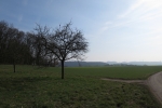 Rheinburgenweg #1