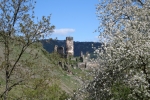 Rheinburgenweg #4 - Burg Fürstenberg