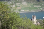 Rheinburgenweg #4 - Burg Sooneck