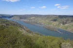 Rheinburgenweg #4 - Siebenburgenblick