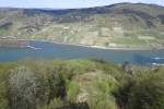 Rheinburgenweg #4 - Burg Sooneck