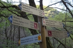 Rheinburgenweg #4 - Schilderwald