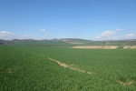Rheinburgenweg #2 - Bei Andernach