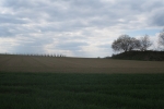 Rheinburgenweg #2 - Bei Andernach