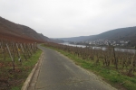Rheinburgenweg #2 - Bei Winningen