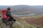 Rheinburgenweg #2 - Weinberge bei Winningen