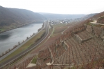 Rheinburgenweg #2 - Blick zurück auf Winningen