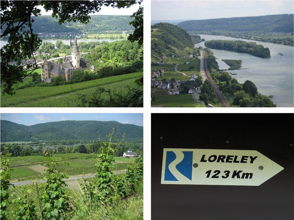 Rheinsteig #4 - Schloss Arenfels, Blick vom Rheinbrohler Ley und Weinberge bei Hubertusburg