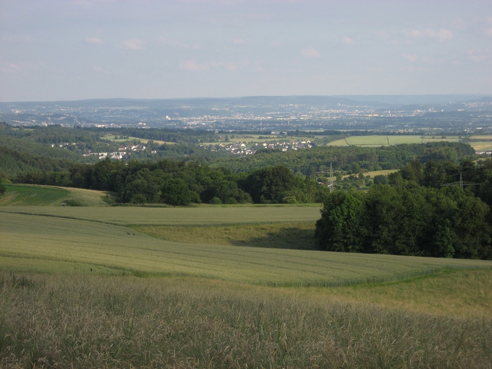 Rheinsteig #5 - Schau ins Land