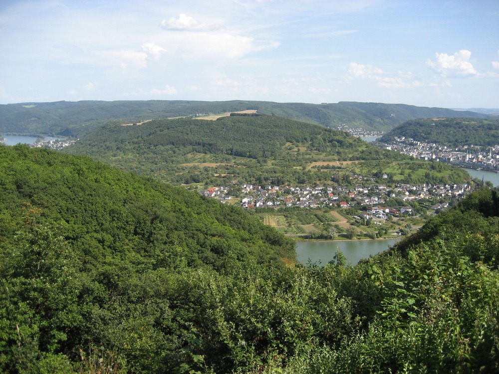 Rheinsteig #9 - Vierseenblick